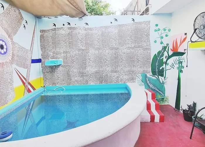 Splash Into Paradise !